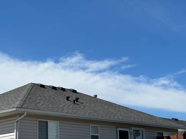 Best Flat Roofing  in Dekal, IL